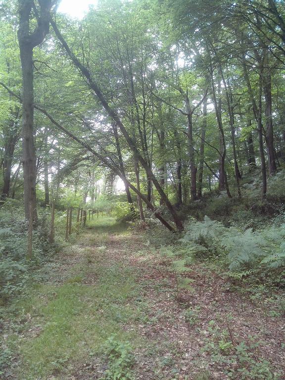 Les Gites De Castera Aire-sur-lʼAdour المظهر الخارجي الصورة